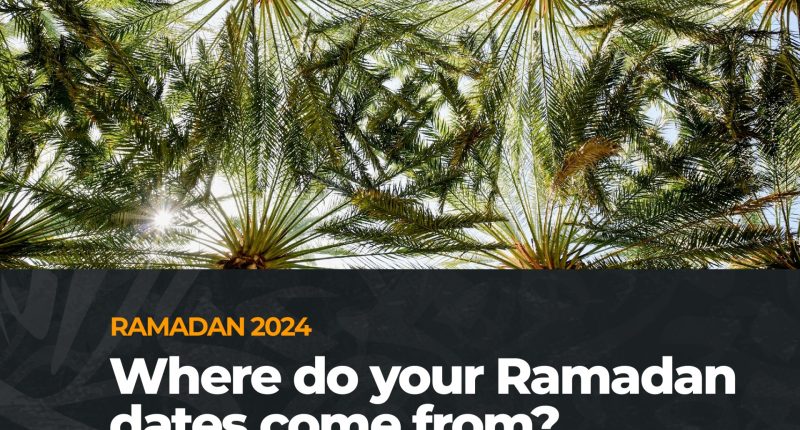 Ramadan 2024: Where do your dates come from? | Infographic News
