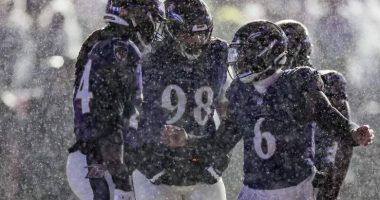 Ravens LB Patrick Queen takes command of Baltimore