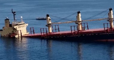 Rubymar cargo ship earlier hit by Houthis has sunk, Yemeni government says | Israel War on Gaza News