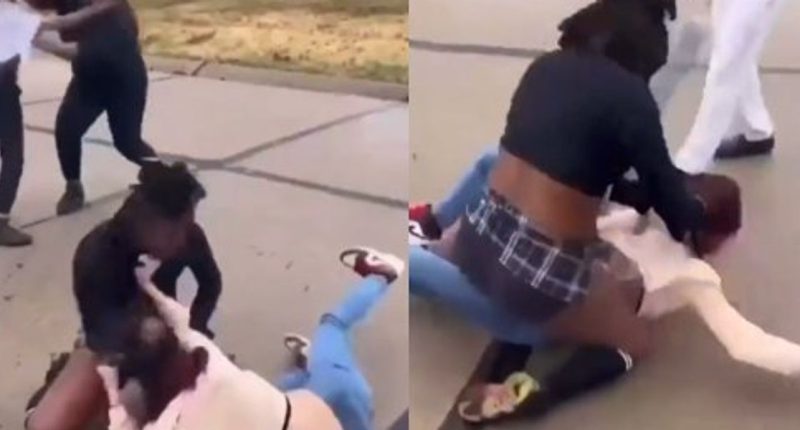 Teen girl in critical condition after horrific video shows HS student repeatedly bashing her head into concrete