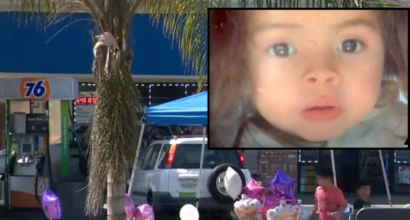 Toddler left alone in running truck at gas station accidentally ran over 2-year-old and killed her, California police say