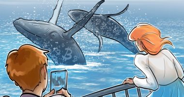 What are Bitcoin whales and how to spot them?