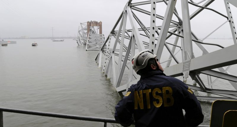 What is the economic cost of Baltimore’s bridge collapse? | Shipping News