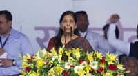 ‘Fascism will not work in India’ says wife of arrested Modi critic | India Election 2024