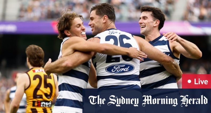 AFL 2024 round three LIVE updates: Hawks claw back margin to put Cats under pressure  in Easter Monday showdown; Major Tiger injury blow
