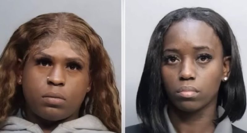 After argument over Plan B pills, Florida woman returns with friend to brutally beat down two CVS employees, police say