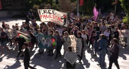 Australian students join protests for Palestine | Protests