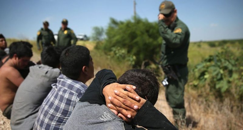 Border Patrol sector apprehends more than 50 sex offenders with child abuse convictions