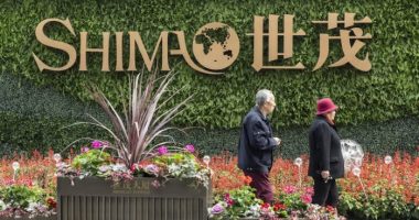 Chinese state-owned bank seeks liquidation of property developer Shimao