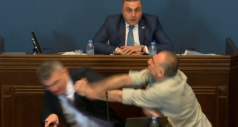Controversial law sparks fight in Georgian parliament | Government