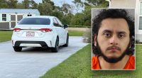 Florida pre-med student admits to stabbing his mother to death: 'Inexplicable, vicious'