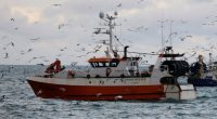 France slams UK over fishing access to protected habitat in British waters
