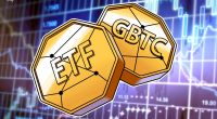 GBTC fees will drop when Bitcoin ETFs ‘start to mature’ — Grayscale CEO