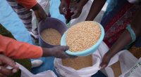 How can we reduce global food insecurity? | Hunger