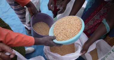 How can we reduce global food insecurity? | Hunger
