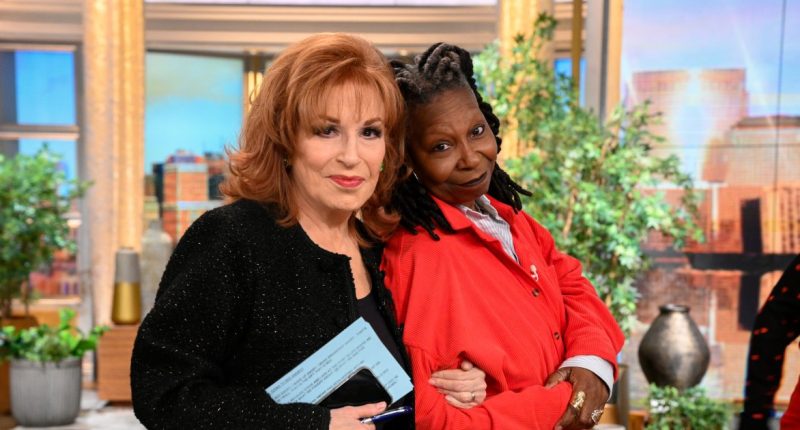 Joy Behar on Overcoming Bullying and the Dynamic on The View