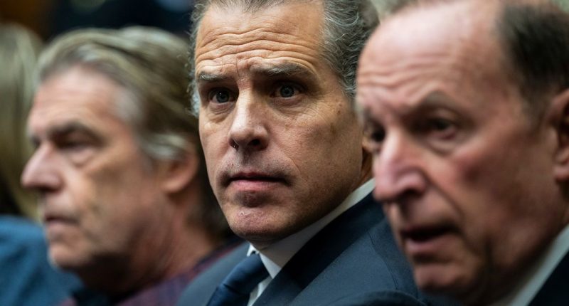 Judge rejects Hunter Biden request to dismiss gun case, says it is not politically motivated