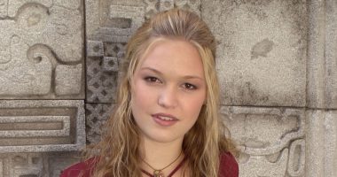 Julia Stiles Now: Where the Former Teen Icon Is Today 