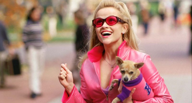 Legally Blonde TV Series in the Works at Amazon