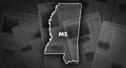 Mississippi woman pleads guilty to stealing government funds