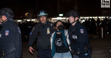 NYU anti-Israel protesters form human chain as police move in for arrests
