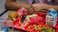 New Nutrition Guidelines Put Less Sugar and Salt on the Menu for School Meals