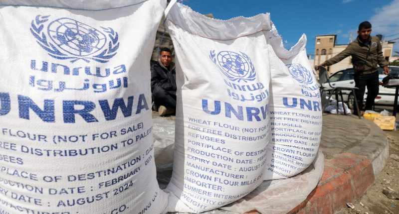 No evidence of UNRWA staff links to ‘terrorist’ groups: Independent review | Israel War on Gaza News