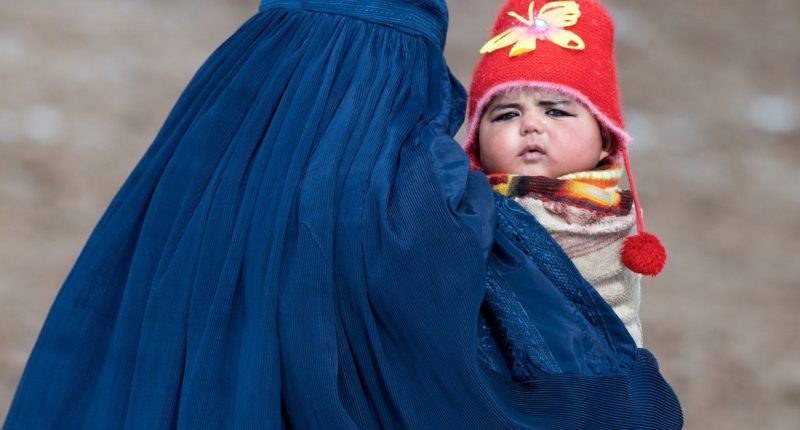 One in 10 Afghan children under five malnourished, 45 percent stunted: UN | Poverty and Development