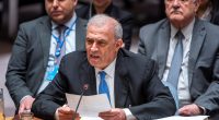 Palestinian bid for UN membership set for Security Council vote | United Nations News