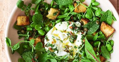 Recipes for Salad Meals Packed With Protein and Fiber