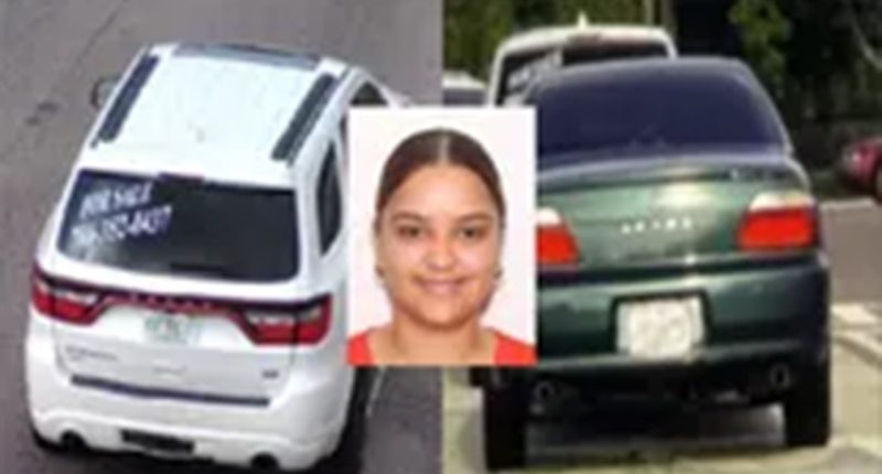 Suspects on loose after carjacking caught on video, woman's remains found in burned SUV