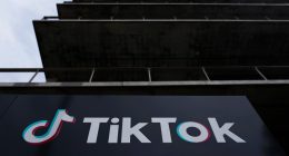 TikTok says bill to force its sale would ‘trample’ free speech | Technology