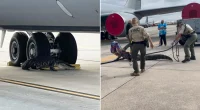 Video shows Florida authorities wrangle alligator that wandered onto Air Force Base tarmac