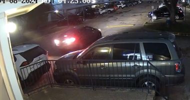 Video shows alleged car thieves abandon stolen vehicle after being thwarted by gate
