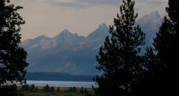 A self-inflicted hit of pepper spray drives off an attacking grizzly in Grand Teton National Park