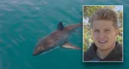 California surfer opens up about encountering aggressive shark