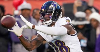 Former Baltimore Ravens WR Laquon Treadwell is a free agency option for the Dallas Cowboys