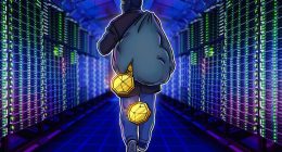 Equalizer DEX hacker drains funds: Users warned, investigation underway