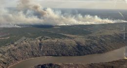 Evacuation orders issued as wildfire grows near Canada’s Alberta oil patch | Environment News