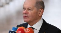 Germany’s Scholz calls for unity against far-right after MEP seriously hurt | The Far Right News