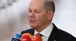 Germany’s Scholz calls for unity against far-right after MEP seriously hurt | The Far Right News