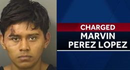 Illegal alien allegedly kidnaps 11-year-old Florida girl, rapes her in van
