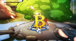 Japanese listed firm adds Bitcoin as reserve asset with 117 BTC