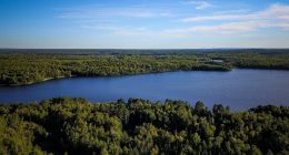 Minnesota man, 62, on solo camping trip found dead in lake near overturned canoe
