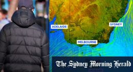 Polar blast hits Sydney