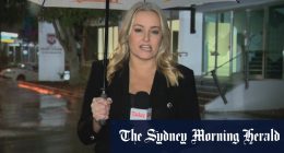 Police investigate rape complaint against Queensland NRL star