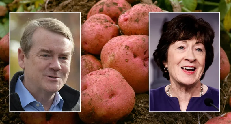 Potatoes retain USDA classification as vegetable, not grain