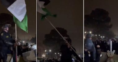 Riot police successfully take control at UCLA, throwing away Hamas-endorsed radicals' Palestinian flag