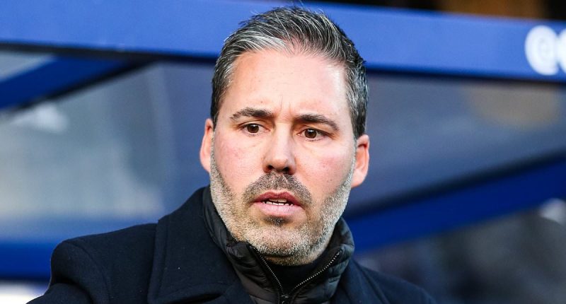 Transformation at QPR: From Laughing Stock to Celebration under New Boss Marti Cifuentes