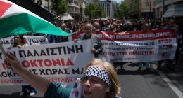 ‘Audacious, outrageous’: Gaza protesters slam Greek deportation order | Protests News
